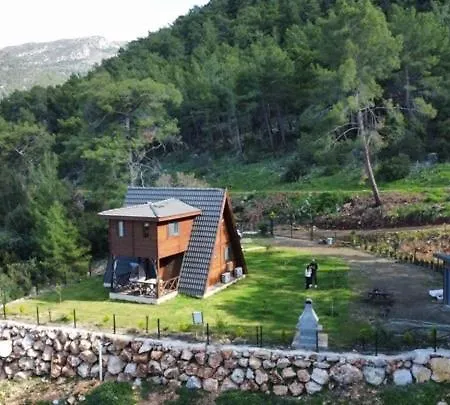 Doganin Icinde Lueks Jakuzili Balayi Bungalovu Kumluca